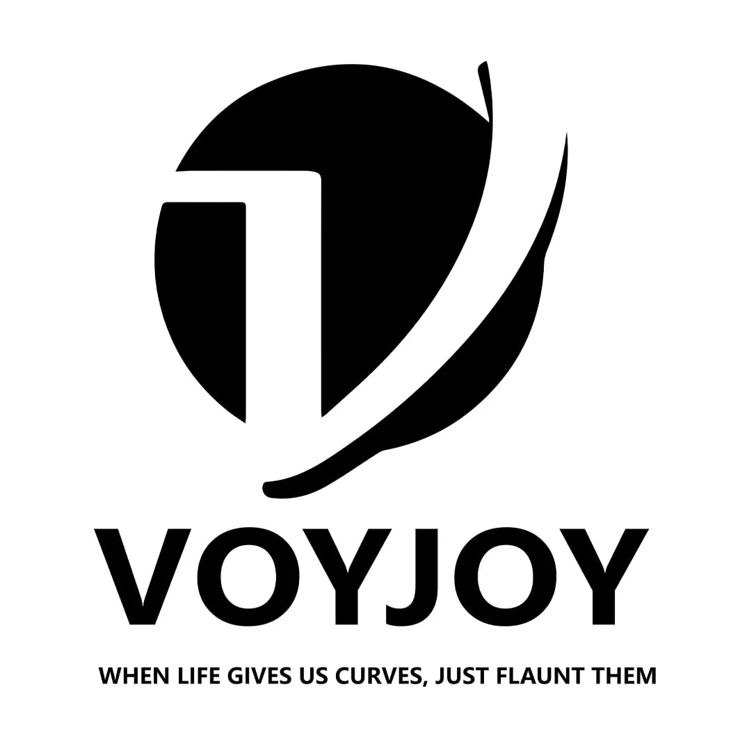 voyjoy logo